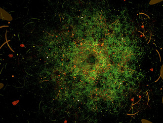 Similar image 21676988