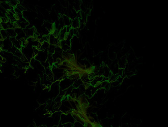 Similar image 21675780