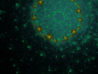 Similar image 21675787