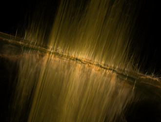 Similar image 21675792