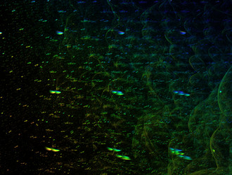 Similar image 21676272