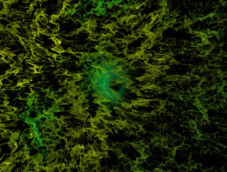 Similar image 21676811