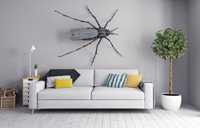 Similar image 21683674