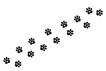 Similar image 21683679