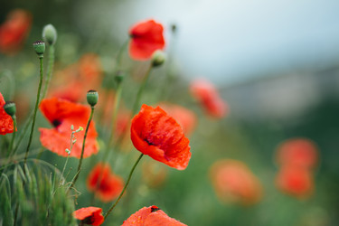 Similar image 21675485