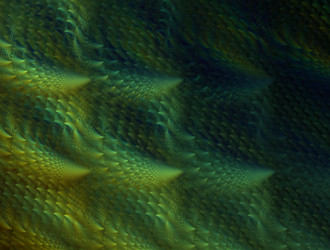 Similar image 21676304