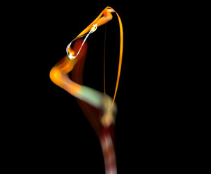 Similar image 21675495