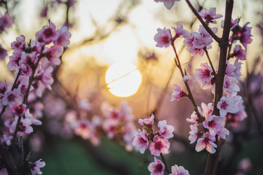 Similar image 21675543