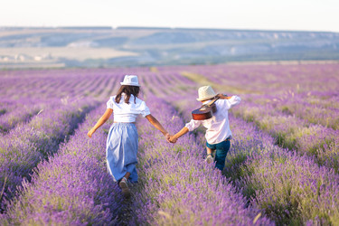 Similar image 21675546