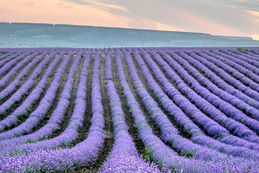 Similar image 21675552