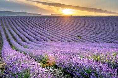 Similar image 21675554