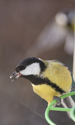 Similar image 21675201