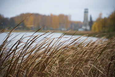 Similar image 21675202