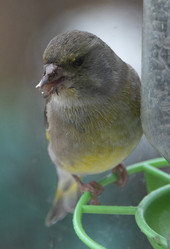 Similar image 21675203