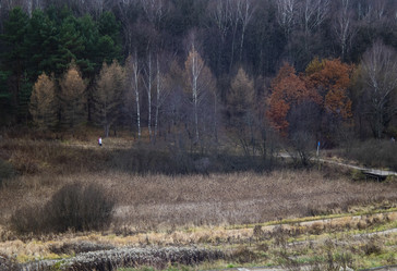 Similar image 21675207