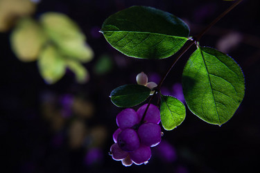 Similar image 21675319