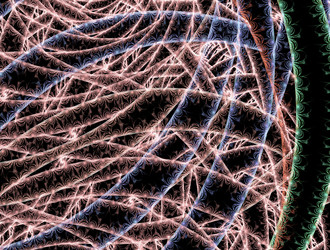 Similar image 21675815