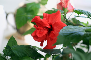 Similar image 21675824