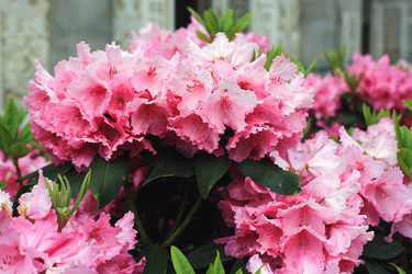 Similar image 21675828