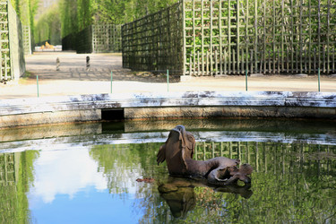 Similar image 21675829