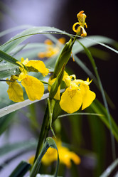 Similar image 21675838