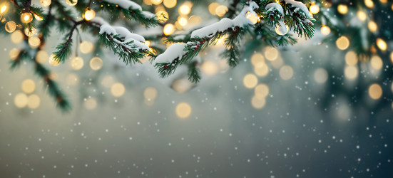 Similar image 21675322