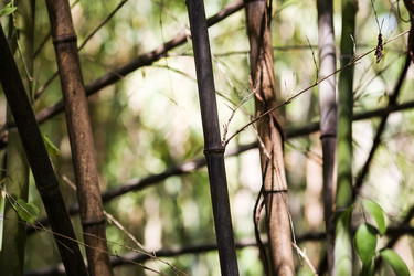 Similar image 21675845