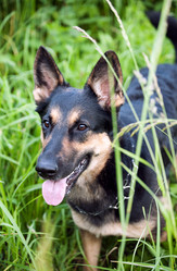 Similar image 21675851