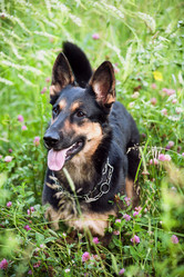 Similar image 21675853