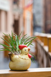 Similar image 21675856