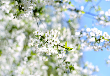 Similar image 21675859