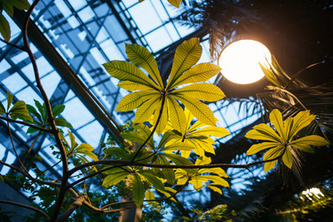 Similar image 21675864