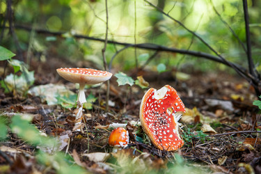 Similar image 21675866