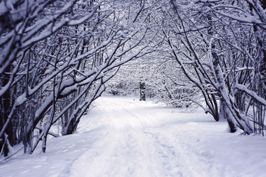 Similar image 21675867