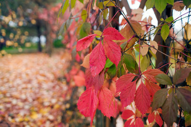 Similar image 21675874