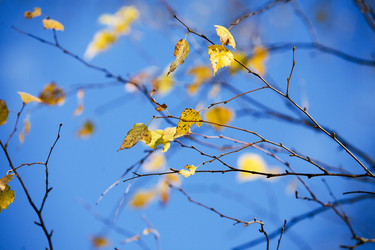 Similar image 21675876