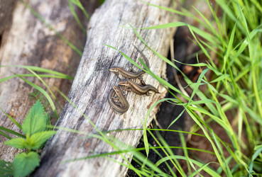 Similar image 21675882