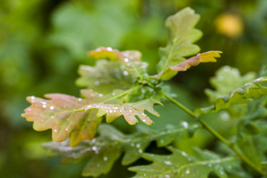 Similar image 21675884