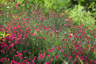 Similar image 21675886