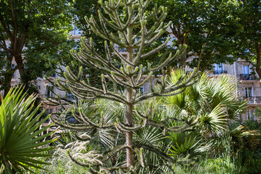 Similar image 21675887