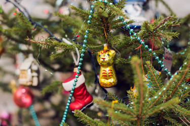 Similar image 21675899