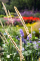 Similar image 21675900