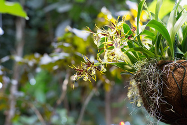 Similar image 21675909