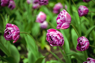 Similar image 21675914