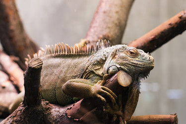 Similar image 21675915