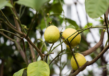 Similar image 21675917