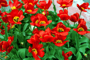 Similar image 21675918