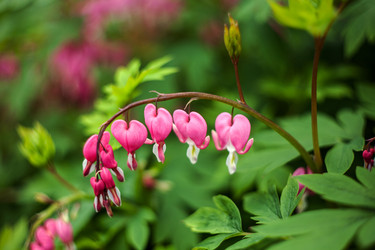 Similar image 21675920