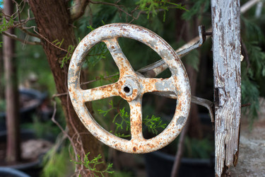 Similar image 21675570