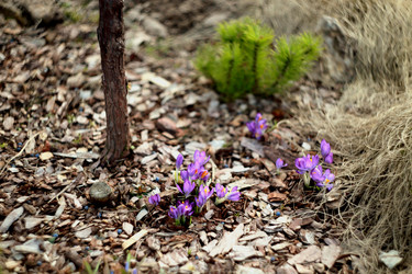 Similar image 21675571